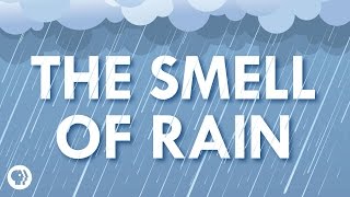 Where Does The Smell Of Rain Come From?