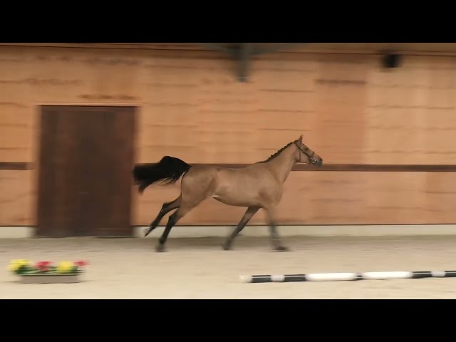 Gaits