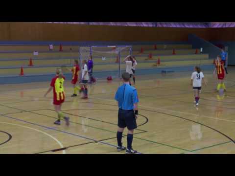 South Brisbane vs Arana Utd - U14 Girls Final - SEQFPL 2016-2017