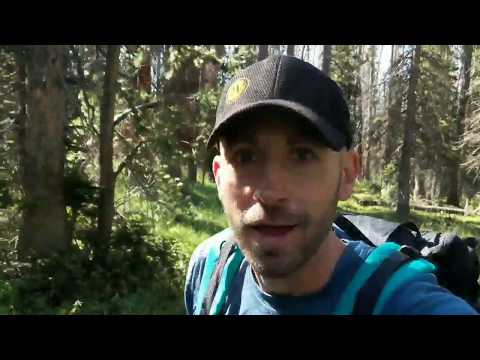 No Trekking Poles No Problem