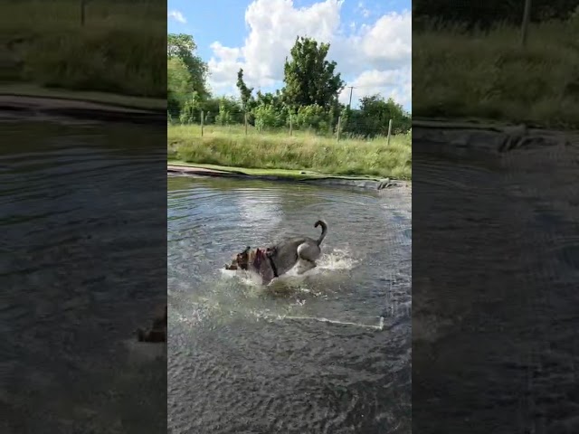 Play video