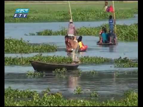 দিনাজপুরে আশুরার বিলে দীর্ঘতম কাঠের সেতু