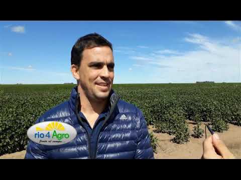 PROGRAMA RIO4AGRO BLOQUE 3 28 03