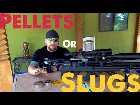 Pellets or Slugs for Airgun Hunting and Pest Control?