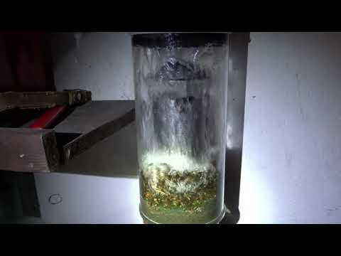 Huss Fallrohrfilter August 2020. Er hält was er Verspricht