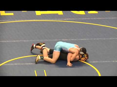 2016 NYSPHSAA D1 Wrestling Championships 220 lb. Preliminary