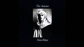 The Auteurs - Early Years