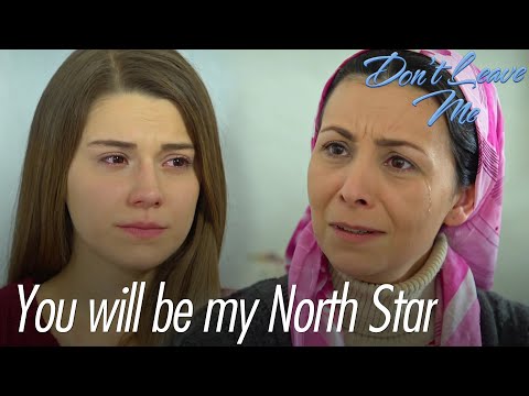 You will be my North Star - Don't Leave Me Short Scenes