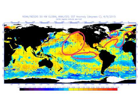 Saturday's Look Ahead - Colder?