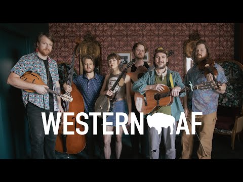 Susto Stringband | Double Crown | Western AF