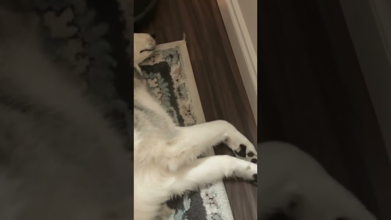 YouTube video preview