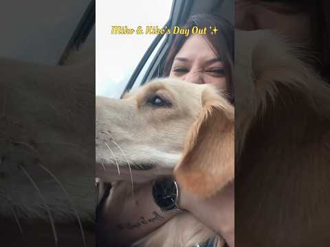 Miko and kiko’s beach day out ✨ #minivlog #explore #petreels #pets #petlovers