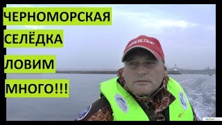 Снасть на селедку в черном море