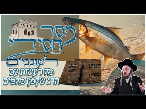 שובבים תשפ"ה