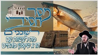 הרב מנחם מנדל פומרנץ | שובבים תשפ"ה • מה לעשות עם הדג שקפץ מהמים •