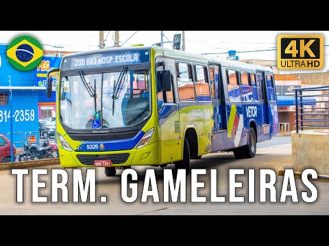 Terminal Gameleiras/Sudeste (Uberaba/MG) - Movimentação de Ônibus #891