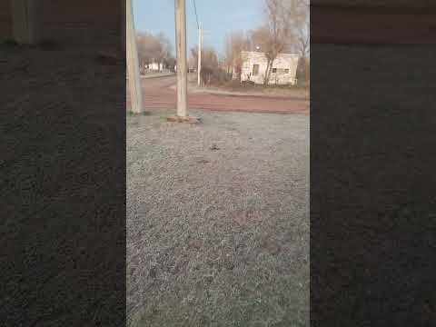 terrible helada en viamonte