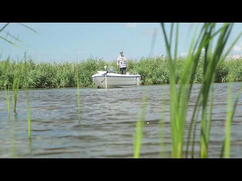 Guide til aborrefiskeri i Vonå