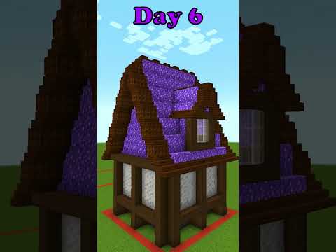 Insane Build in 30 Day Challenge | Day 6