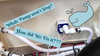 Whale Caravan Pump Keeps on Running! What did I do to fix it?