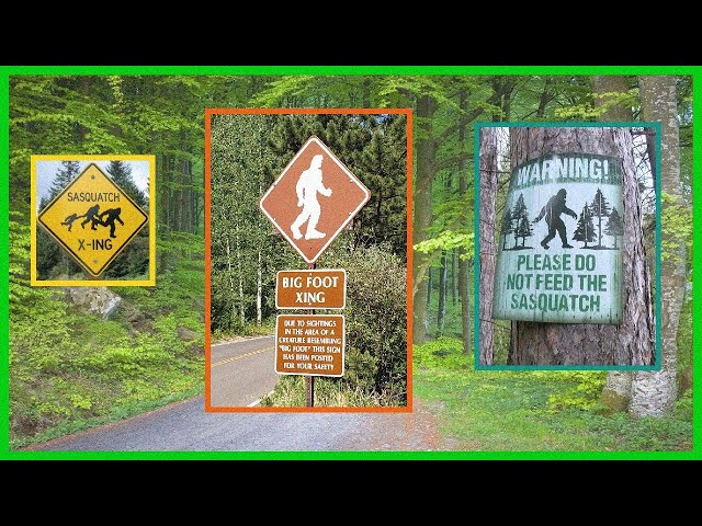 In Search Of Bigfoot ... With Leonard Nimoy! (1976). High Quality.