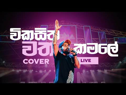 Line One Band Wikasitha Watha Kamale Cover - Jana with