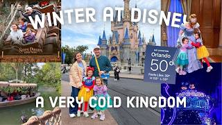 Winter at Disney Day 5 | A VERY COLD Magic Kingdom Day