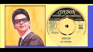 Roy Orbison - Wondering &#39;Vinyl&#39;