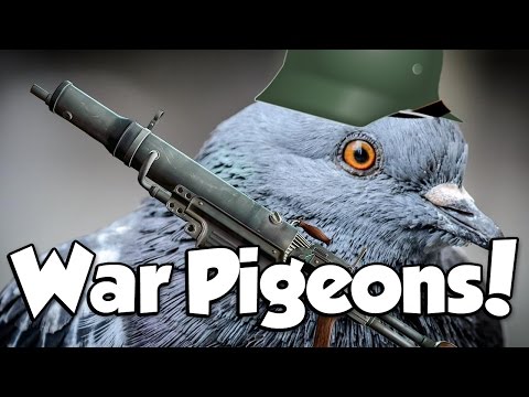 WAR PIGEONS! (Battlefield 1 War Pigeons)