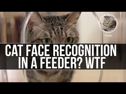 Is This Hi-Tech Cat Feeder Crazy Awesome Or Just Crazy?