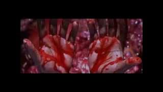 BlakOut - Torture'em Then Kill'em (Official Video)