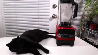 HOMGEEK ❤️ Professional Blender ⭐️ Review ✅