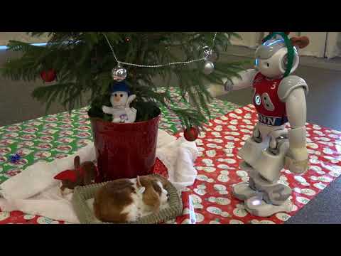 The GRASP Lab Home Holiday Video