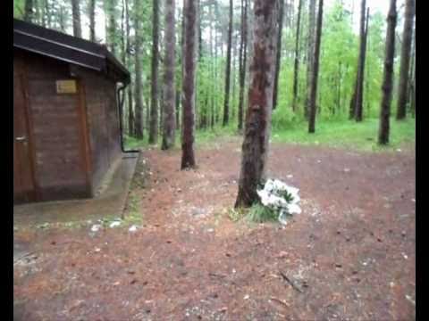 Ripe di Civitella - Il bosco degli orrori a 8 giorni dall'omicidio di Melania Rea