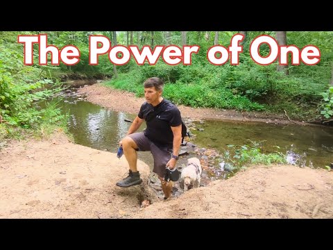 The Single Man's Blueprint: Why Solo Life is Actually the Advantage