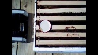 Prequel to NON-expert Beekeeping!