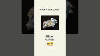 what is this called? #quiz#englishpractice #englishlanguage #english #englishlearning #quiztime