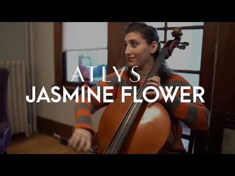 Jasmine Flower by Zhou Long