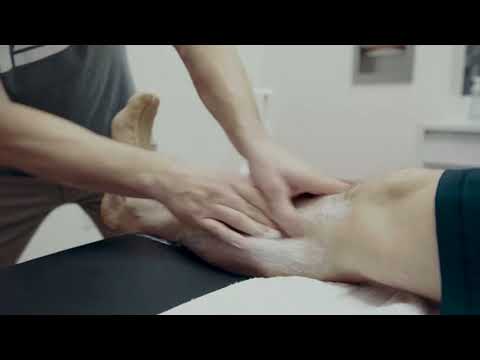 Body Coach's Corner: Ankle Sprain - Partner Pliability | TB12