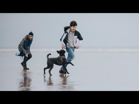 Butcher's Nourishing Food For Dogs 2021 TV Advert