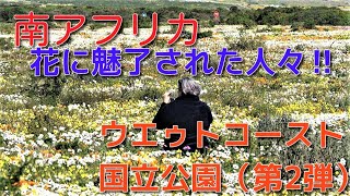 【南アフリカ】花に魅了される人々　＠ウエストコースト国立公園（第２弾）