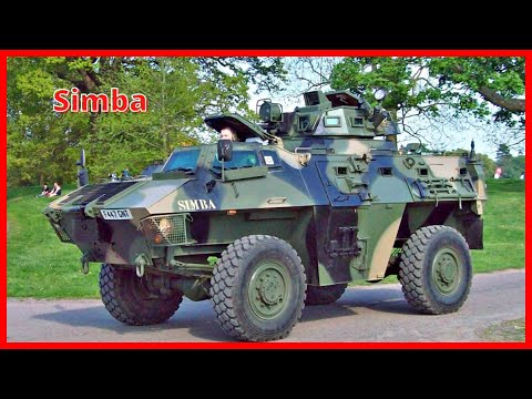 Simba