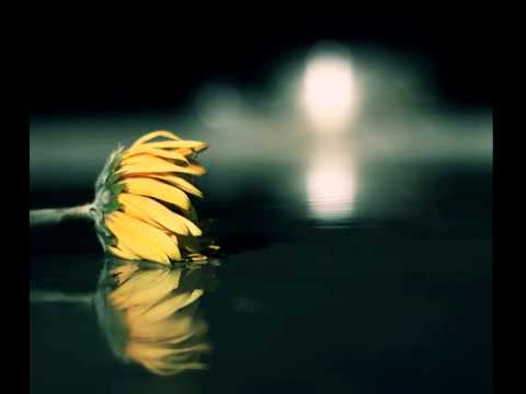 Scorpions & Zucchero with Berlin  Orchestra _  Send Me An Angel