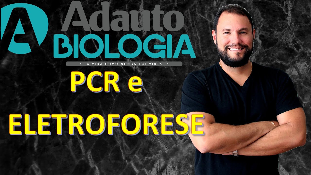 PCR + ELETROFORESE