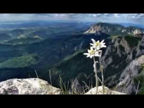 Erzherzog Johann Jodler BESTE VERSION!!!!