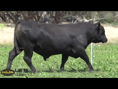 GRANITE RIDGE QUINCY Q111