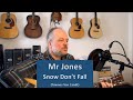 Snow Don't Fall (Townes Van Zandt) - Mr Jones - Studio 2021