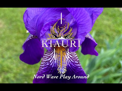 Nord Wave Play Around