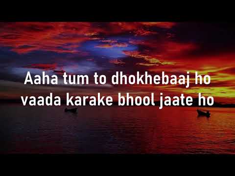 Tum to dhokebaaz ho | Saajan Chale Sasural | Lyrics