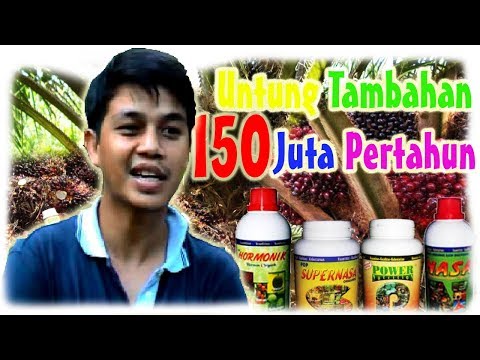Pil yang potensi lebih rendah Peptida dan potensi